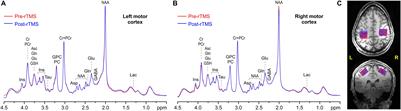 Influence of Repetitive Transcranial Magnetic Stimulation on Human Neurochemistry and Functional Connectivity: A Pilot MRI/MRS Study at 7 T